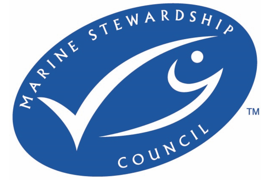 Marine Stewardship Council organisation logo