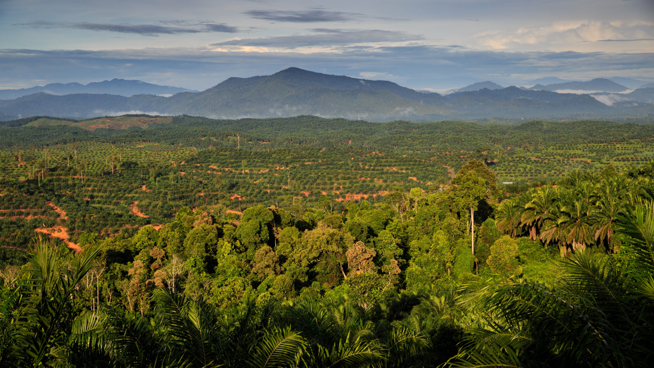 Sabah landscape, Malaysia © RSPO