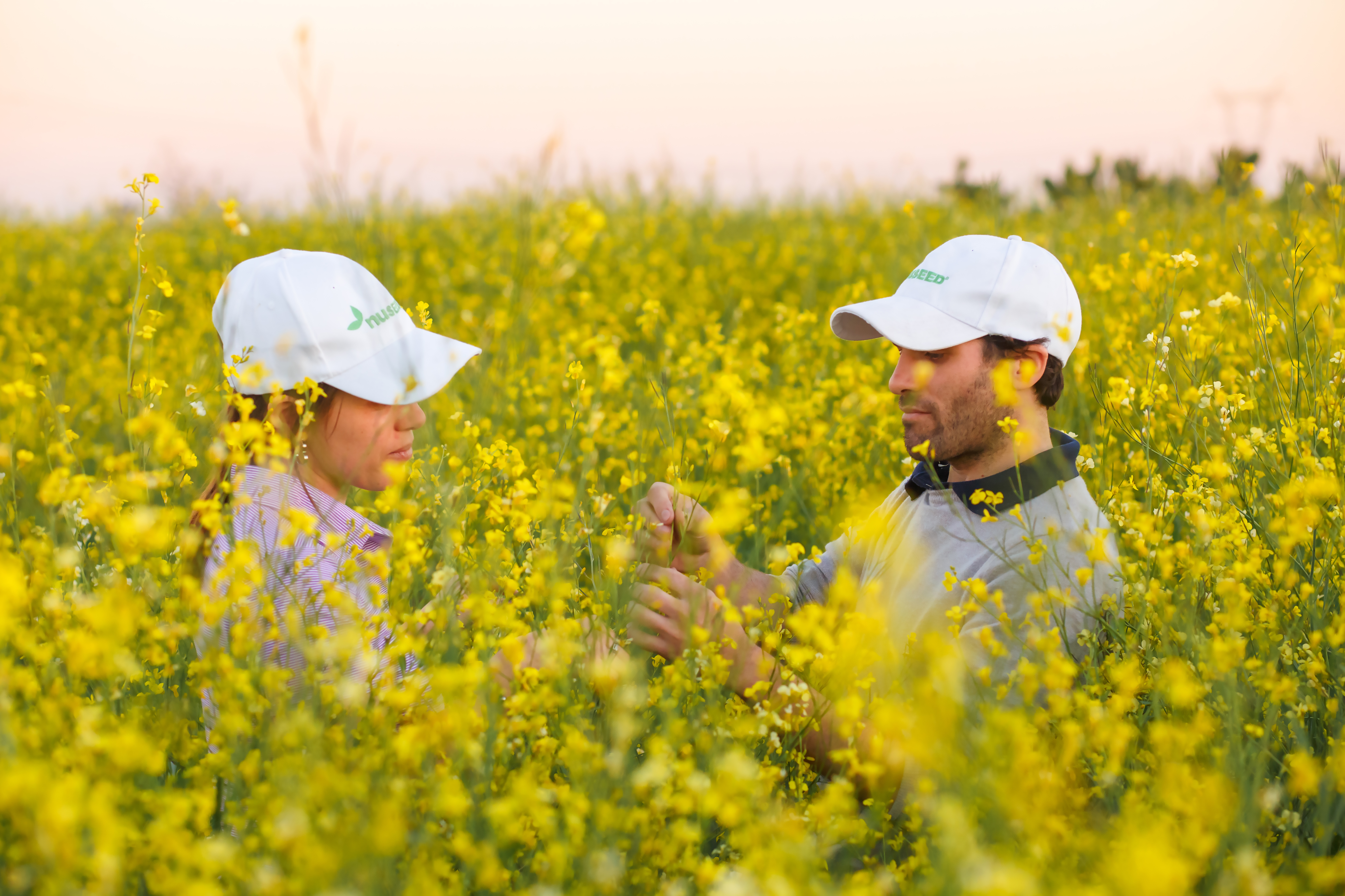 Field staff © Nuseed