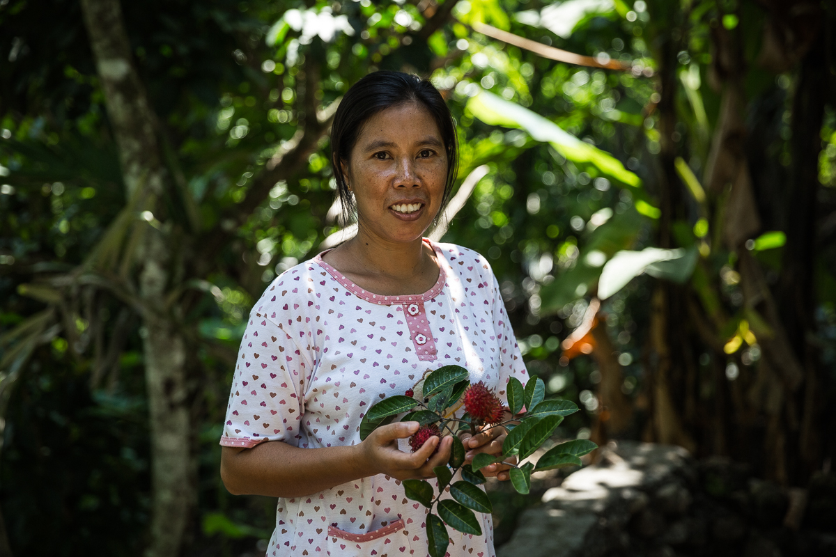 Indonesia © FSC