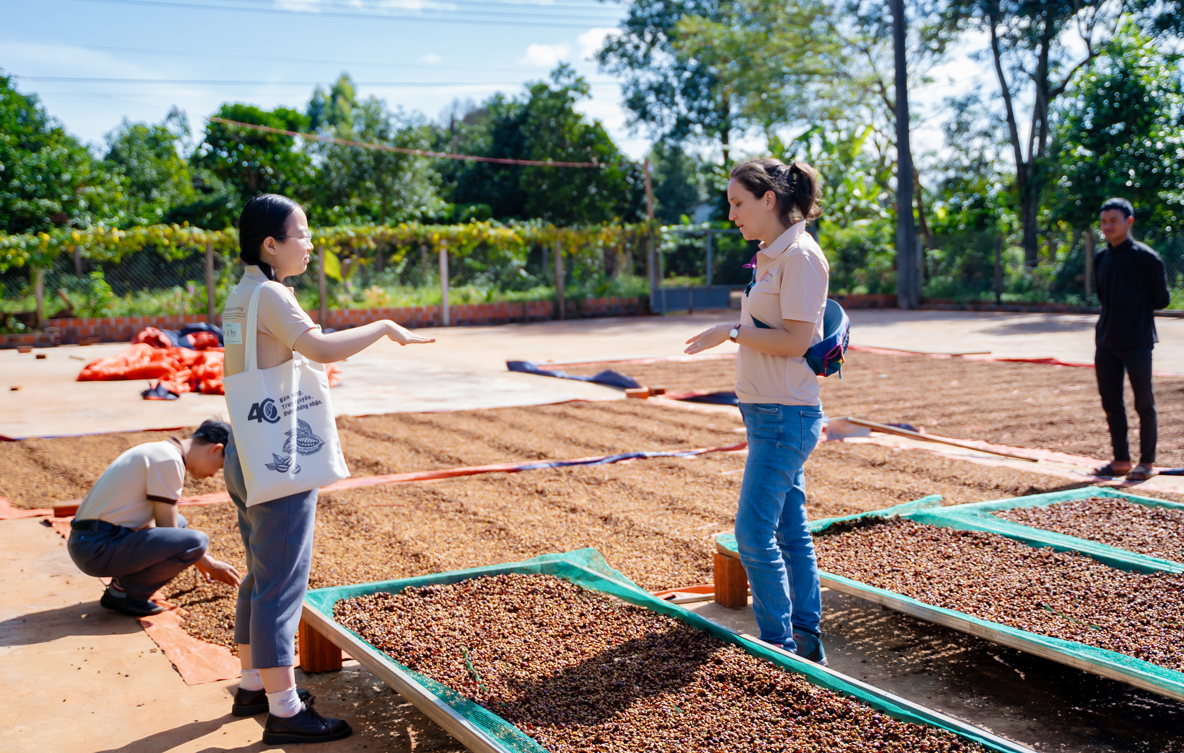Two project staff standing outside next to beds of drying coffee beans