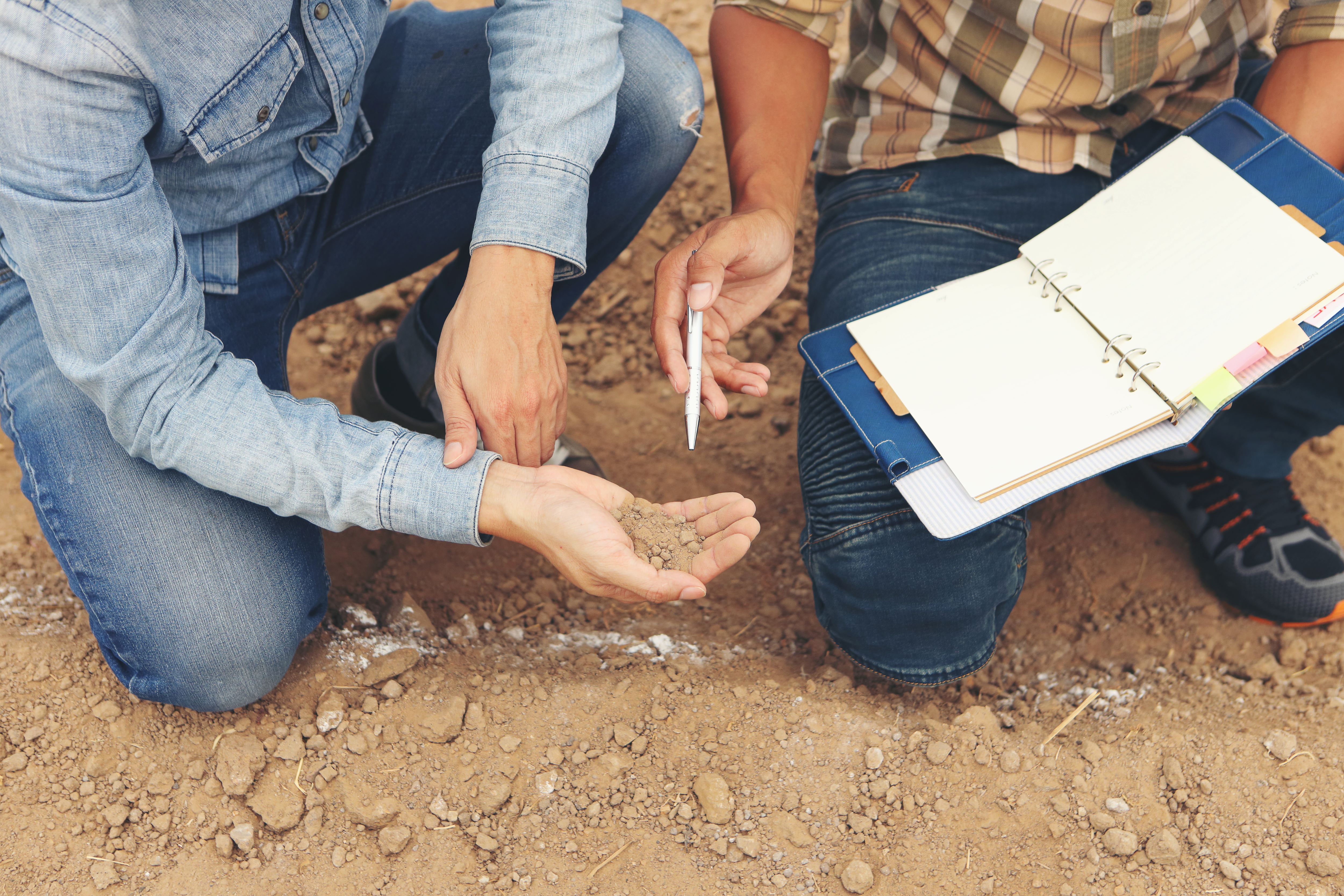 Two farmers kneeling down checking soil quality