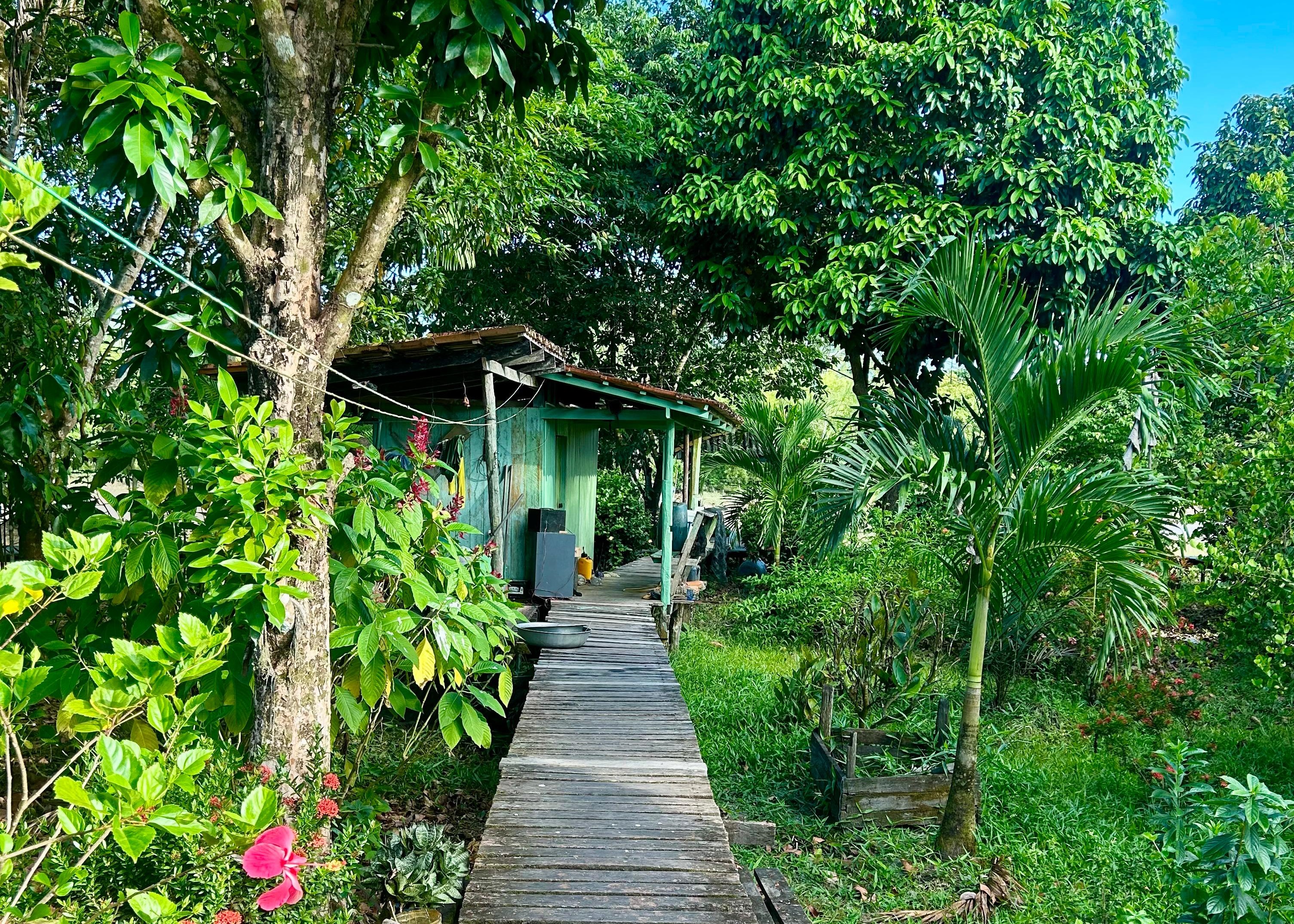 A small hut is positioned at the end of a wooden walkway, surrounded by forest