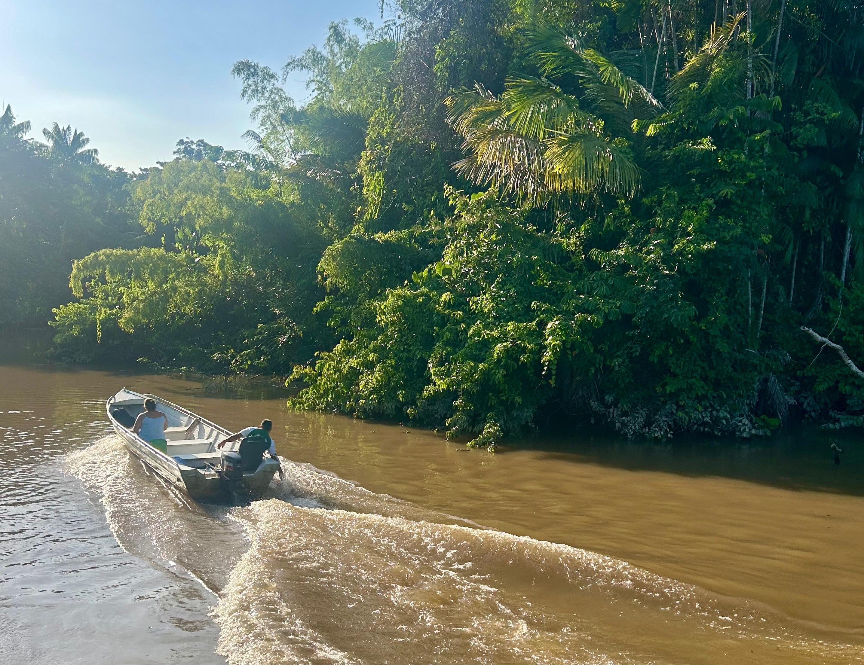 A small boat is driven through a muddy river, surrounded by lush foliage. 