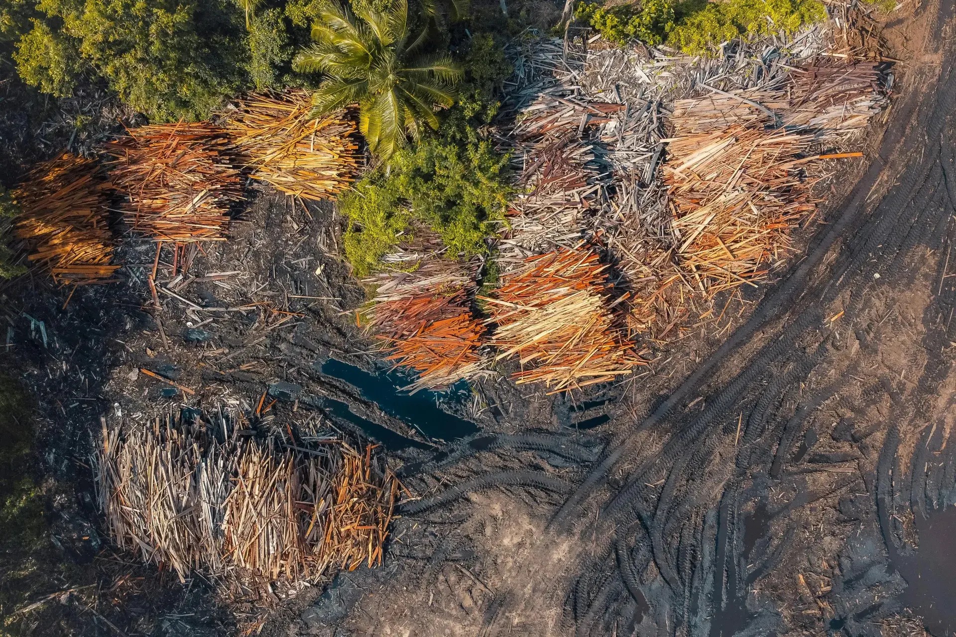 Ariel view of deforested tropical land