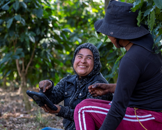 Two farmers sit in a field with a tablet computer.