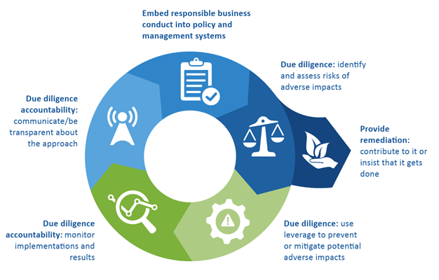 Due diligence infographic © ISEAL