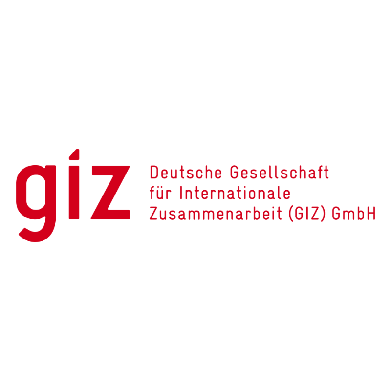 GIZ logo