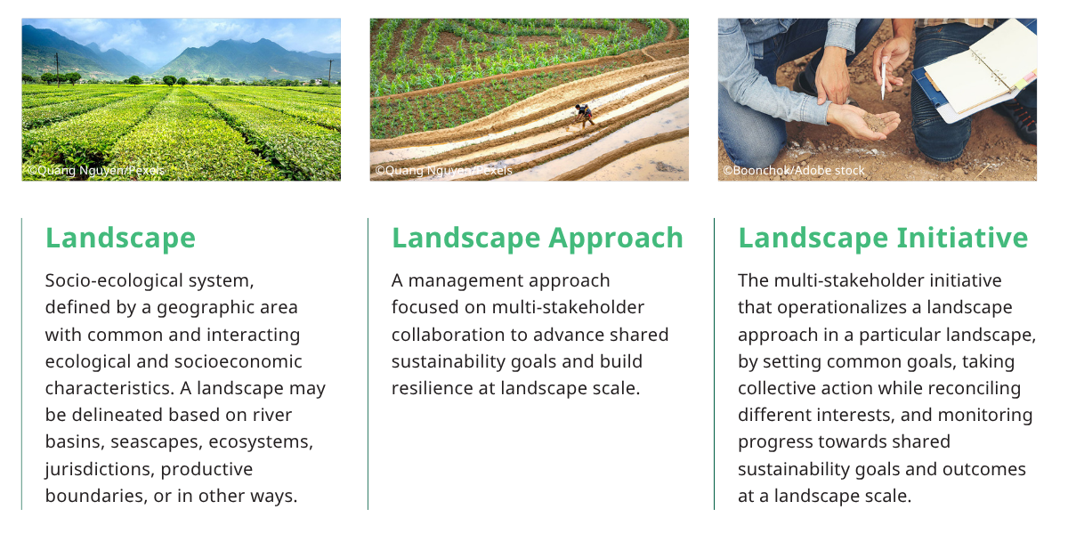 Landscape: Socio-ecological system, defined by a geographic area with common and interacting ecological and socioeconomic characteristics. A landscape may be delineated based on river basins, seascapes, ecosystems, jurisdictions, productive boundaries, or in other ways; Landscape Approach: A management approach focused on multi-stakeholder collaboration to advance shared sustainability goals and build resilience at landscape scale