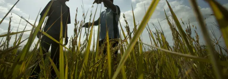 Two workers looking at agricultural field on sunny day