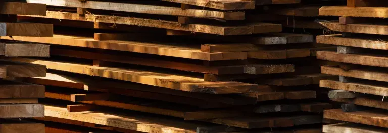 timber_drying_Mexico © Rainforest Alliance