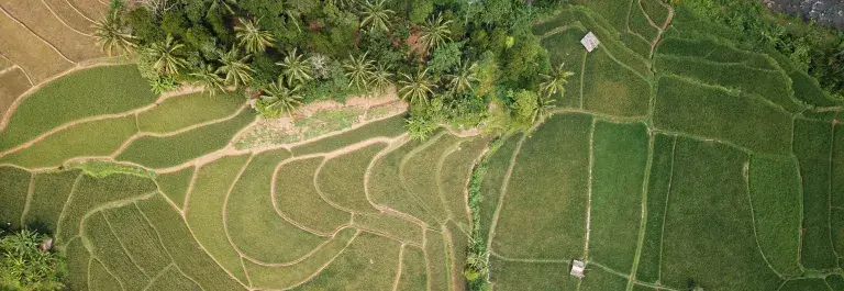 Fields from above