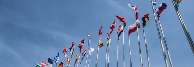 Flags
