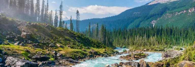 River meandering through forested valley © Hendrik Cornelissen / Unsplash