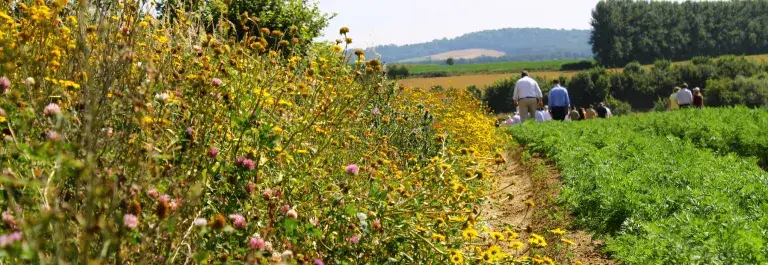 Farm in Somerset with shrubbery along the field © LEAF