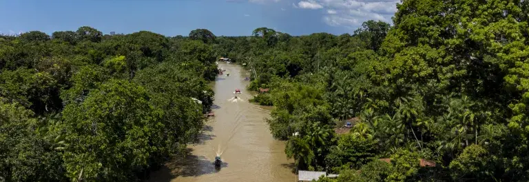 Drone view of the Combu Island in Belem © Alex Ferro, COP30 Brasil Amazonia