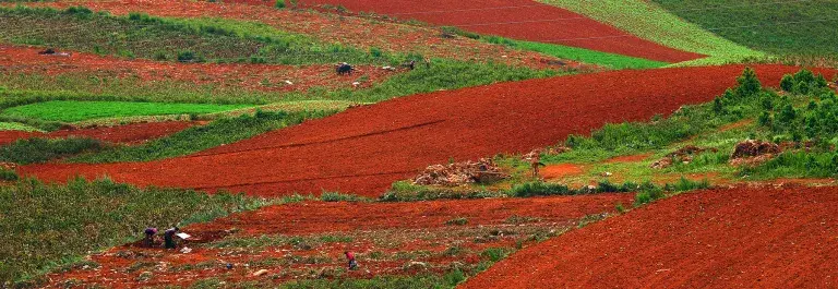 Landscape of rolling hills with brown, orange and green fields