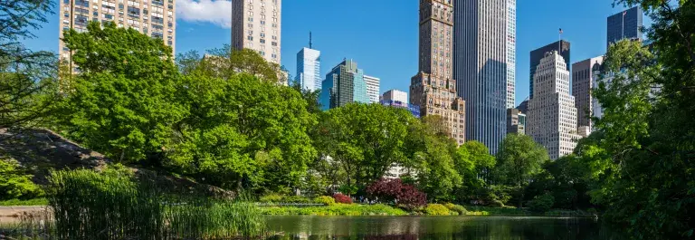 New York City skyscrapers from Central Park with green trees and a bright blue sky