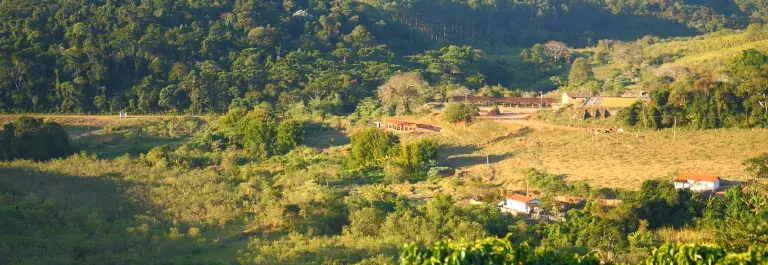 Coffee farm on a sunny day with mountains in the background © Rainforest Alliance