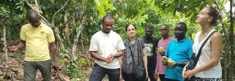 ISEAL Innovations Fund, Fairtrade and Mondelēz International Cocoa Cooperative Organisational Strengthening Programme (CCOSP) staff at cocoa cooperative