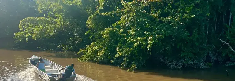 A small boat is driven through a muddy river, surrounded by lush foliage. 