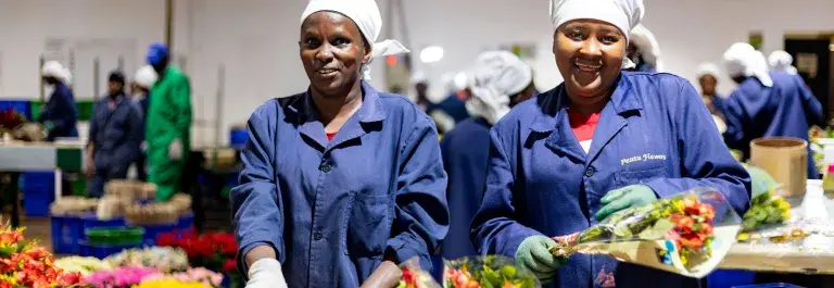 Flower workers wearing uniform smiling and sorting flowers © Fairtrade / Vincent Owino