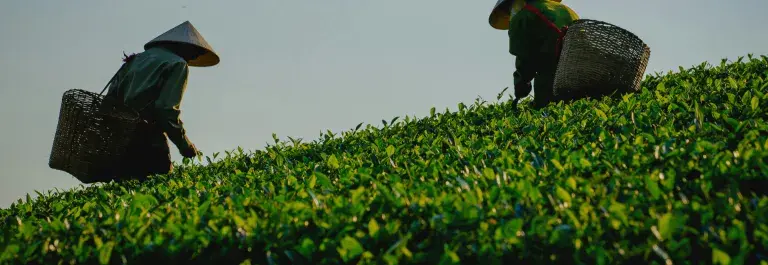 Two two workers in a field on a clear day