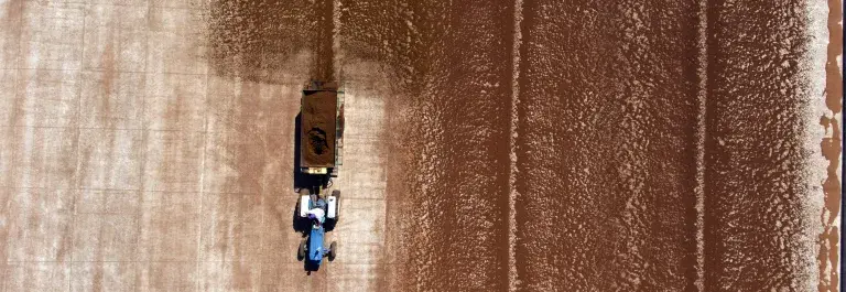 Rooibos seen from a drone in South Africa © Giuseppe Cipriani for UTZ