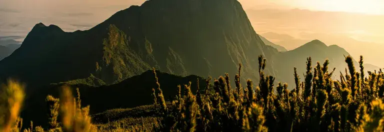 Pico Parana in Brazil, mountains with sunset and clouds in the background, plants in the foreground 