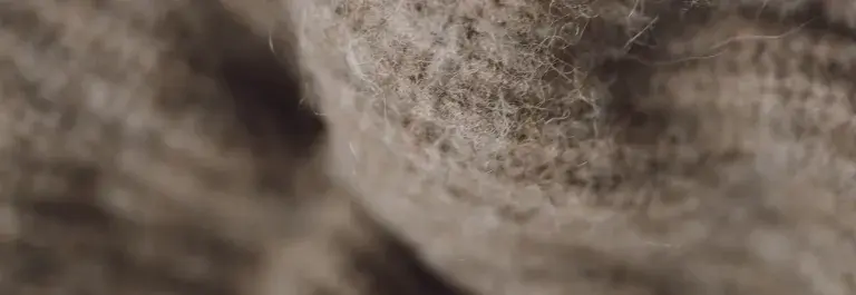 Close up of wool garment