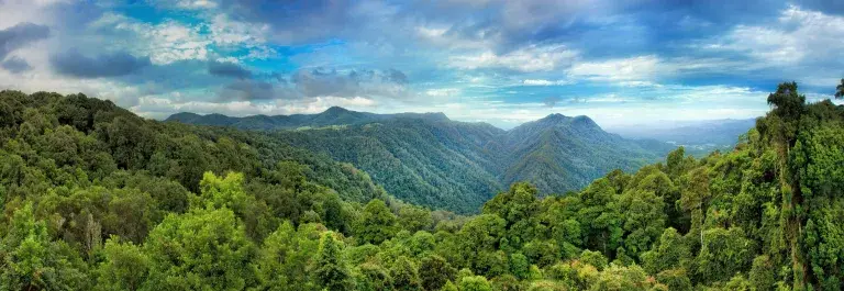 Rainforest landscape across mountains across a blue cloudy sky © Adobe Stock