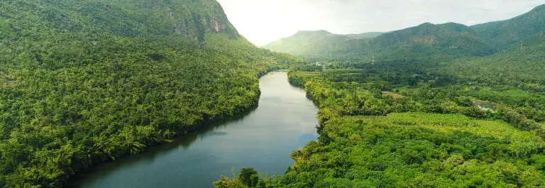 River flowing through rainforest landscape © Adobe Stock