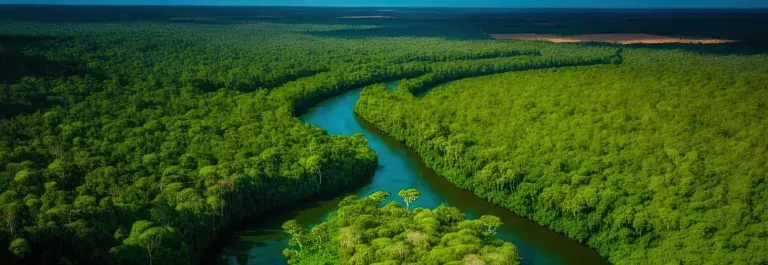 Aerial shot of a river winding through dense green forest © Adobe Stock
