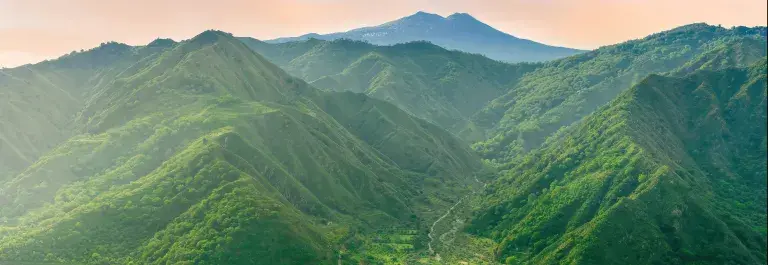 Mountains covered in green trees against a sunset sky © Adobe Stock