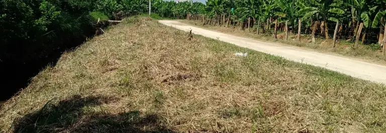 Colombian landscape with a dirt road and forests © SAN