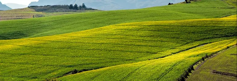 Rolling green landscape of fields with mountains in the background © Pexels