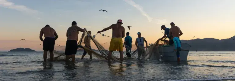 Group of people fishing with a large net on a beach with birds flying above them against a sunset sky © Unsplash