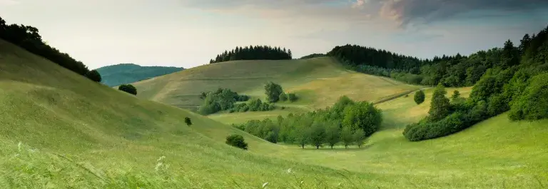 Green hilly landscape with trees in the valley and horizon