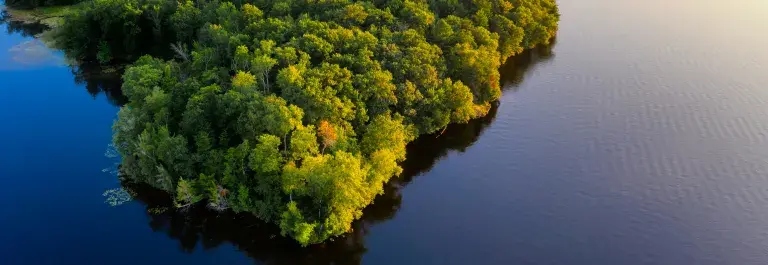Tree-covered island during sunset