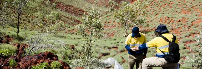 Geologists checking soil in a green and brown dry landscape © Adobe Stock