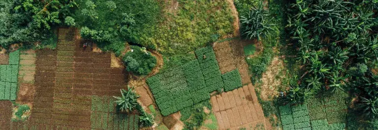 Birds eye view of various brown and green fields at different stages of growth