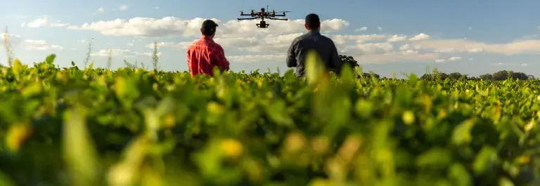 Drone beginning to fly over a soybean farm with two people assisting