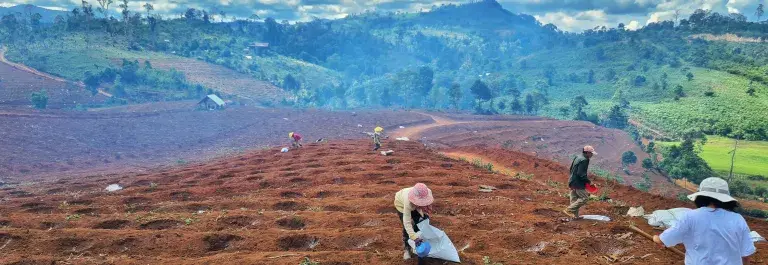 Farmers in the central highlands of Vietnam preparing the land for new coffee planting season amidst lush forest terrain
