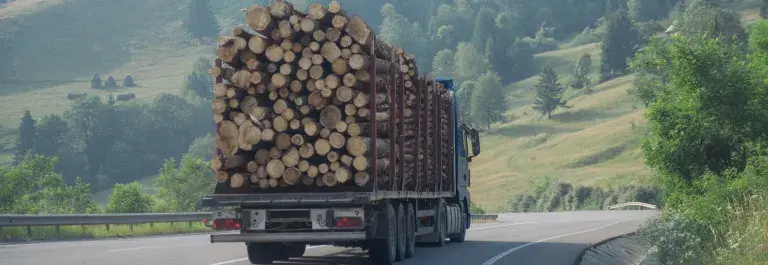 Truck transporting logs driving on a road between hills with trees