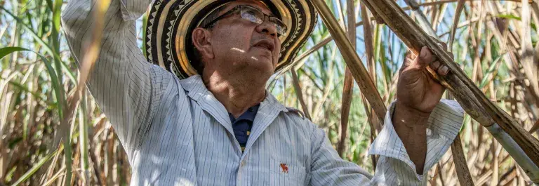 Photo of a man holding a sugar cane. 