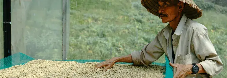 Coffee farmer wearing a rice hat © Pexels