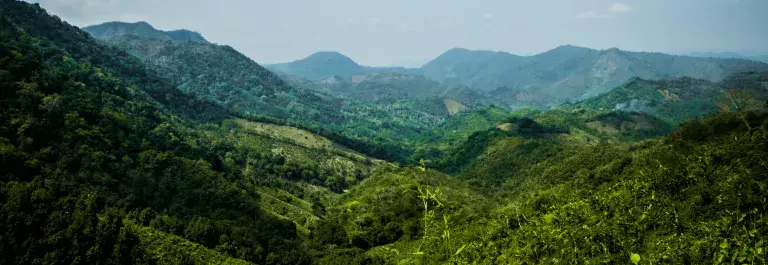 Green forest landscape with mountains in the background covered in trees © Pexels