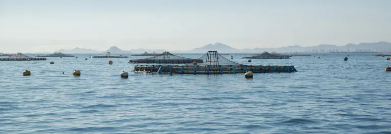 Fishing areas in the ocean surrounded by buoys © Pexels