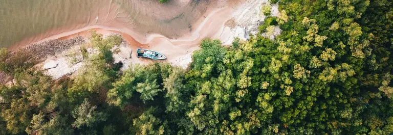 Birds eye view of sea shore with forest