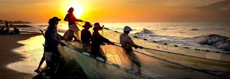 Group of people pulling a fishing net in the sunset © Pexels